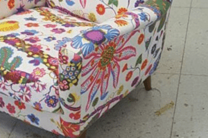 Josef Frank Brazil 1000x1000 Ausschnitt